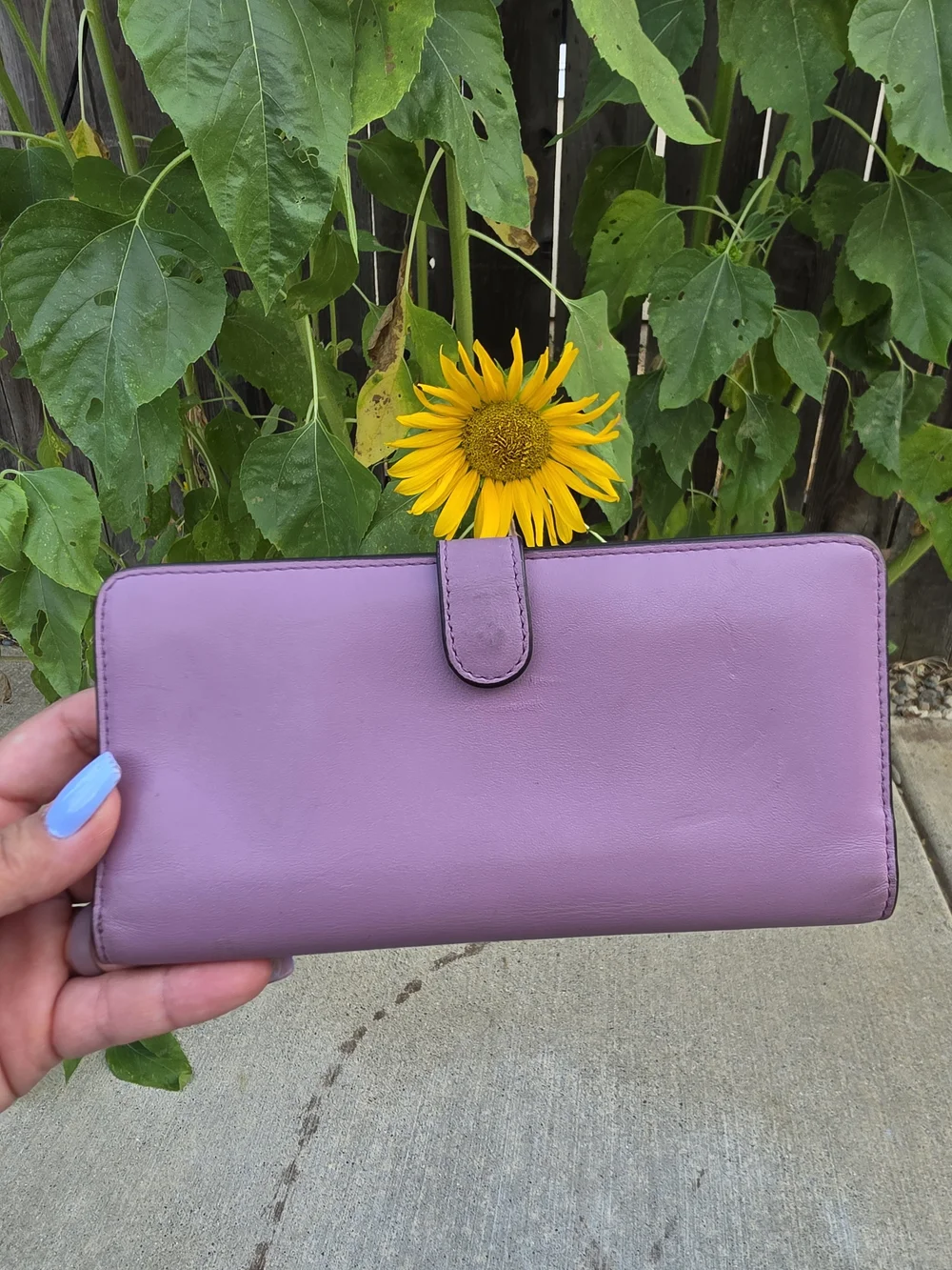 Coach lavender leather